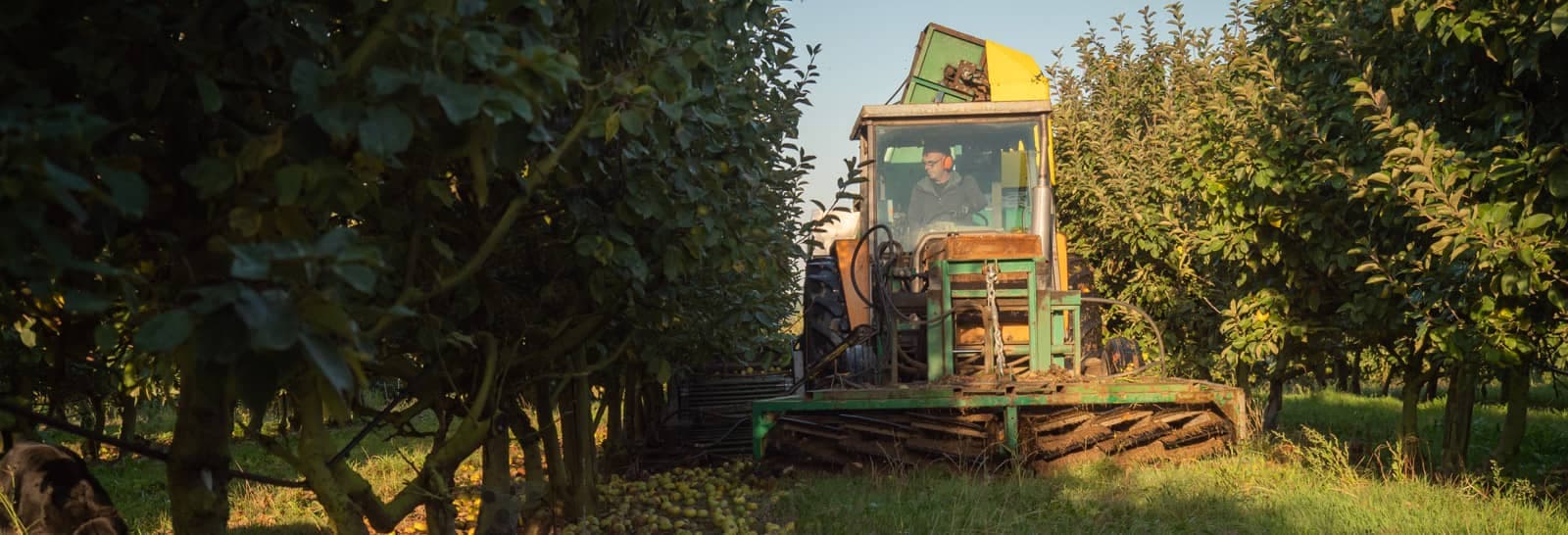 Cidrerie Nicol — Nous connaître
